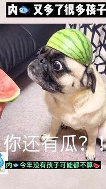 娱乐吃瓜酱宝宝是谁,网络红人的崛起之路  第3张