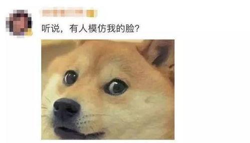 微信表情包吃瓜什么意思,揭秘微信表情包“吃瓜”背后的趣味与内涵 第3张 微信表情包吃瓜什么意思,揭秘微信表情包“吃瓜”背后的趣味与内涵 第3张