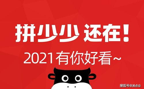 娱乐圈吃瓜的微信公众号,揭秘明星幕后故事，带你领略娱乐圈风云变幻  第3张