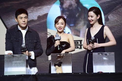 娱乐圈吃瓜爆料博主推荐,揭秘明星背后的惊人真相! 第3张 娱乐圈吃瓜爆料博主推荐,揭秘明星背后的惊人真相! 第3张