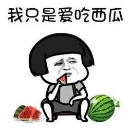 吃娱乐圈的瓜多的后果 第3张 吃娱乐圈的瓜多的后果 第3张