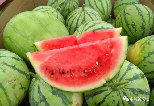 今日吃瓜,揭秘娱乐圈最新热点事件 第3张 今日吃瓜,揭秘娱乐圈最新热点事件 第3张