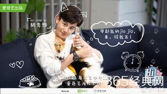 hi室友娱乐吃瓜,揭秘明星宿舍里的欢乐时光  第3张