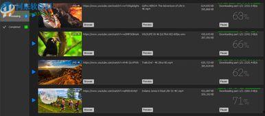 4k测试视频下载,画质体验与下载技巧全揭秘 第3张 4k测试视频下载,画质体验与下载技巧全揭秘 第3张