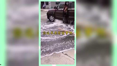 娱乐吃瓜鱼塘  第2张