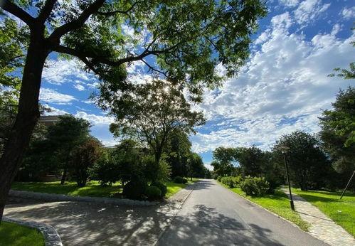 娱乐吃瓜鱼塘  第3张